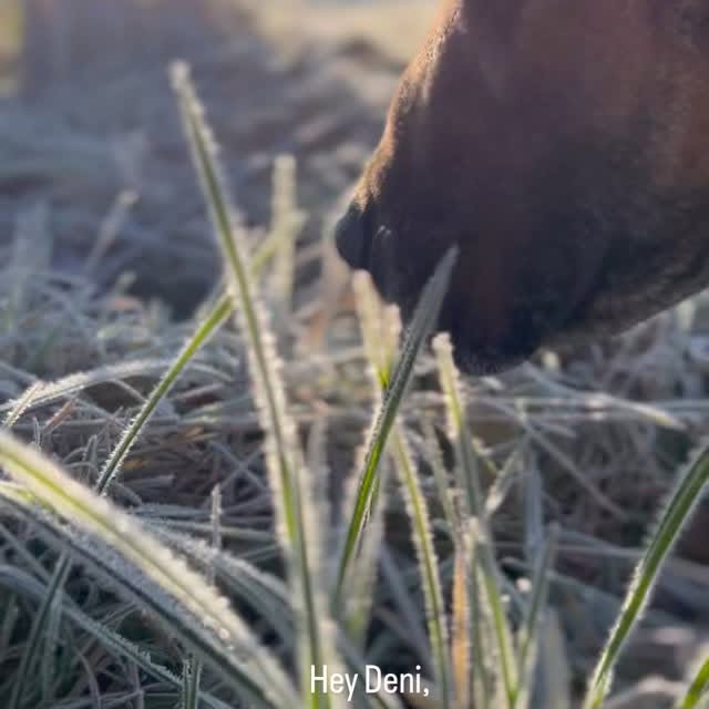 UNVERGESSEN 🫶🥰